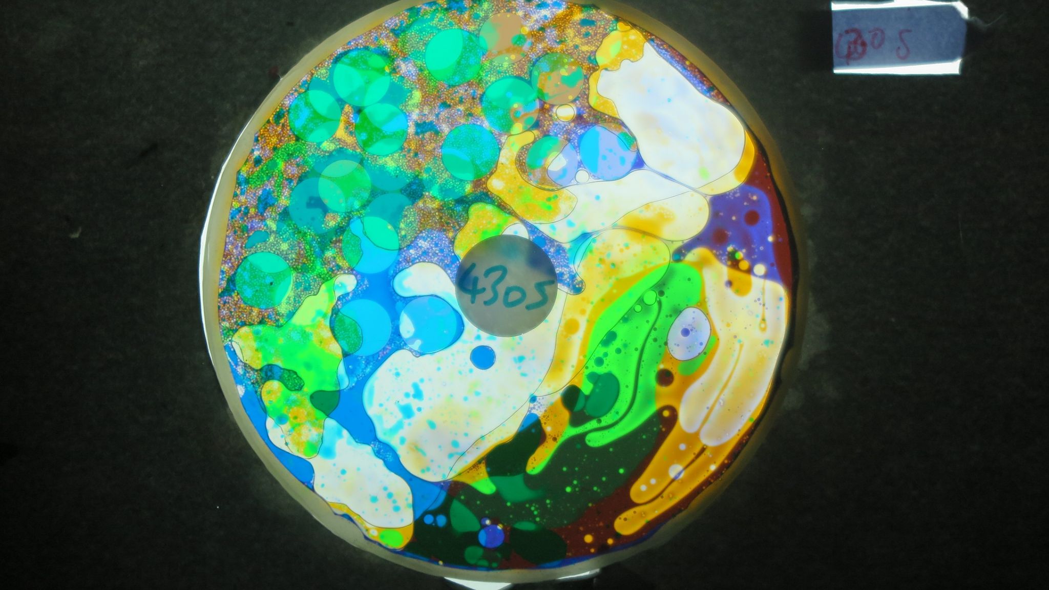 BV4305 bubble vision oil wheel